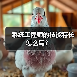 系统工程师的技能特长怎么写？（图2）
