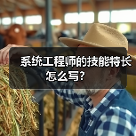 系统工程师的技能特长怎么写？（图4）