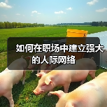 如何在职场中建立强大的人际网络(图3) 如何在职场中建立强大的人际网络(图3)