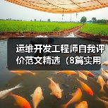 运维开发工程师自我评价范文精选(8篇实用案例)(图2) 运维开发工程师自我评价范文精选(8篇实用案例)(图2)