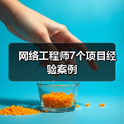 网络工程师7个项目经验案例