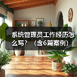 系统管理员工作经历怎么写？（含6篇案例）