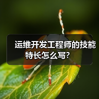 运维开发工程师的技能特长怎么写?(图3) 运维开发工程师的技能特长怎么写?(图3)