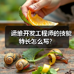 运维开发工程师的技能特长怎么写?(图2) 运维开发工程师的技能特长怎么写?(图2)