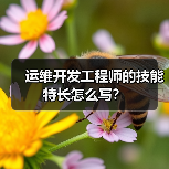 运维开发工程师的技能特长怎么写?(图4) 运维开发工程师的技能特长怎么写?(图4)