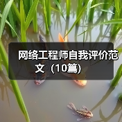 网络工程师自我评价范文(10篇)(图4) 网络工程师自我评价范文(10篇)(图4)