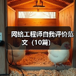 网络工程师自我评价范文（10篇）