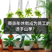带薪年休假成为员工的烫手山芋?(图1) 带薪年休假成为员工的烫手山芋?(图1)
