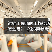 运维工程师的工作经历怎么写?(含6篇参考范文)(图1) 运维工程师的工作经历怎么写?(含6篇参考范文)(图1)