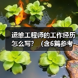 运维工程师的工作经历怎么写?(含6篇参考范文)(图4) 运维工程师的工作经历怎么写?(含6篇参考范文)(图4)