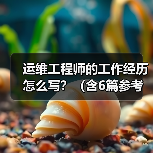 运维工程师的工作经历怎么写?(含6篇参考范文)(图2) 运维工程师的工作经历怎么写?(含6篇参考范文)(图2)