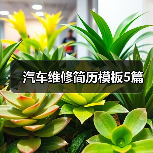汽车维修简历模板5篇(图2) 汽车维修简历模板5篇(图2)
