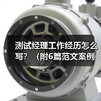 测试经理工作经历怎么写？（附6篇范文案例）