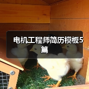 电机工程师简历模板5篇(图3) 电机工程师简历模板5篇(图3)