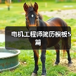 电机工程师简历模板5篇