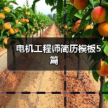 电机工程师简历模板5篇(图2) 电机工程师简历模板5篇(图2)