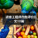 运维工程师自我评价范文10篇(图4) 运维工程师自我评价范文10篇(图4)