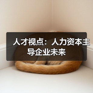 人才视点：人力资本主导企业未来（图4）