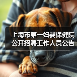 上海市第一妇婴保健院公开招聘工作人员公告(图2) 上海市第一妇婴保健院公开招聘工作人员公告(图2)