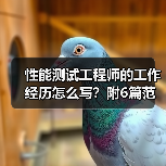 性能测试工程师的工作经历怎么写?附6篇范文案例(图2) 性能测试工程师的工作经历怎么写?附6篇范文案例(图2)