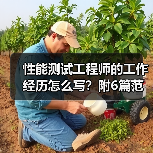 性能测试工程师的工作经历怎么写?附6篇范文案例(图3) 性能测试工程师的工作经历怎么写?附6篇范文案例(图3)