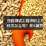 性能测试工程师的工作经历怎么写？附6篇范文案例