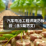 汽车电池工程师简历模板（含5篇范文）（图4）