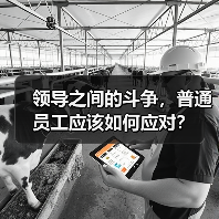 领导之间的斗争，普通员工应该如何应对？（图3）