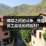 领导之间的斗争，普通员工应该如何应对？（图2）