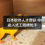 日本软件人才奇缺 中国嵌入式工程师抢手（图3）