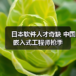 日本软件人才奇缺 中国嵌入式工程师抢手（图2）