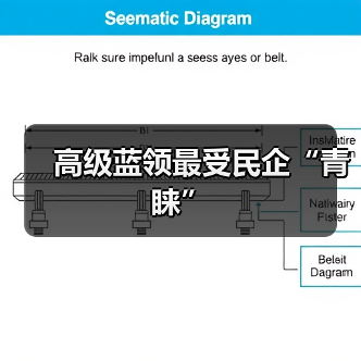 高级蓝领最受民企“青睐”（图4）
