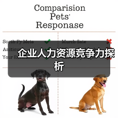 企业人力资源竞争力探析(图1) 企业人力资源竞争力探析(图1)