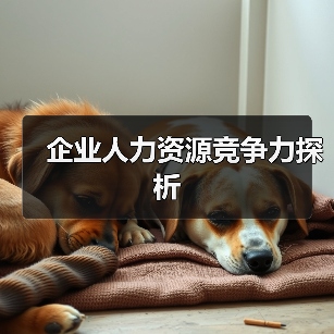 企业人力资源竞争力探析(图2) 企业人力资源竞争力探析(图2)