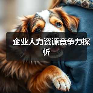 企业人力资源竞争力探析(图3) 企业人力资源竞争力探析(图3)