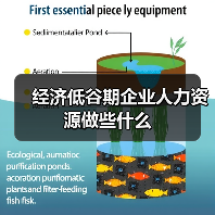 经济低谷期企业人力资源做些什么(图3) 经济低谷期企业人力资源做些什么(图3)
