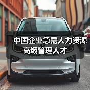 中国企业急需人力资源高级管理人才(图1) 中国企业急需人力资源高级管理人才(图1)