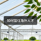 如何留住海外人才(图4) 如何留住海外人才(图4)